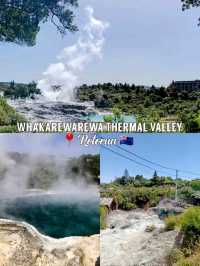 🇳🇿 Whakarewarewa Thermal Valley