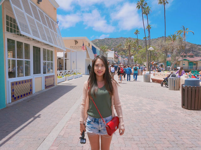 나혼자산다에 나온 산타카탈리나섬