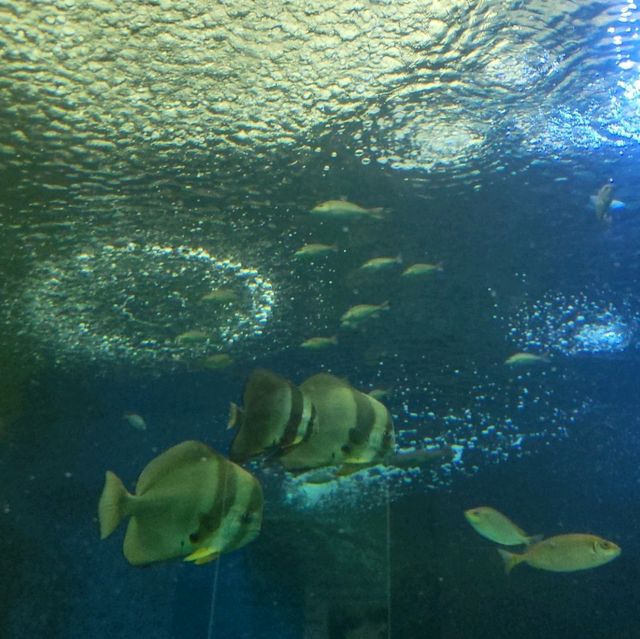 Underwater World Pattaya 