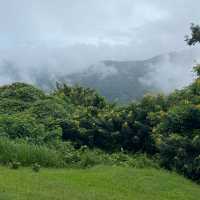 อุทยานแห่งชาติเขาใหญ่ | KHAO YAI National Park 