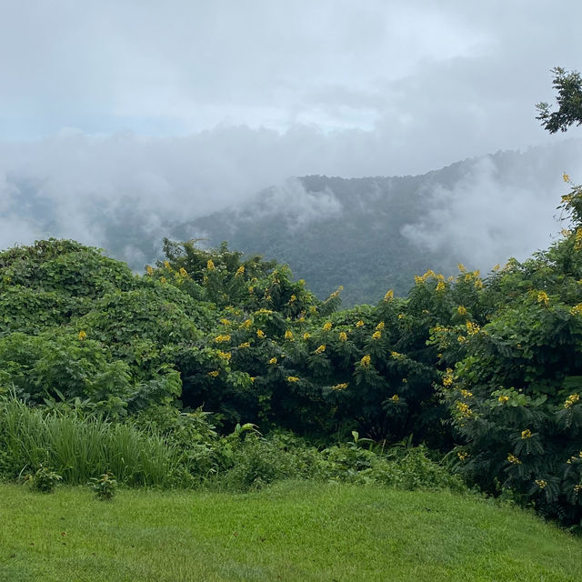 อุทยานแห่งชาติเขาใหญ่ | KHAO YAI National Park 