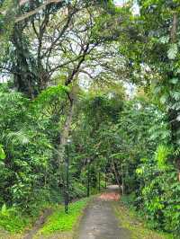 Discovering Telok Blangah Hill Park: A Tranquil Escape in Singapore 