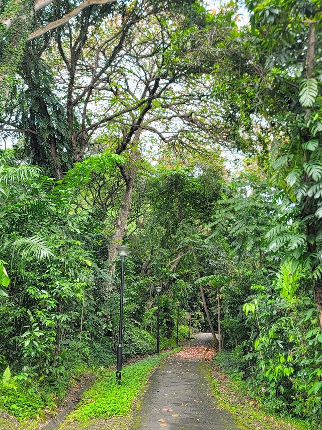 Discovering Telok Blangah Hill Park: A Tranquil Escape in Singapore 