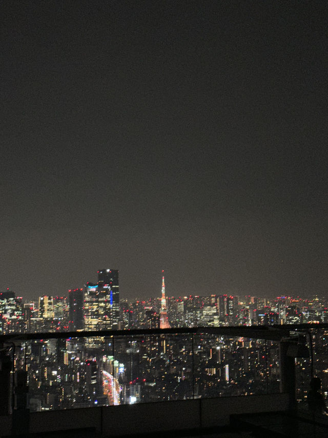 🇯🇵 東京最高點景色🫶🏻🌃