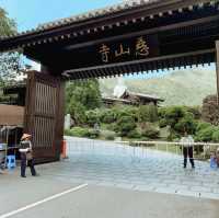 Tsz Shan Monastery 🙏🏻