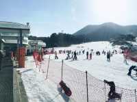 首爾冬季魅力：香草島樂園、滑雪、冰釣與韓食的精彩四重奏