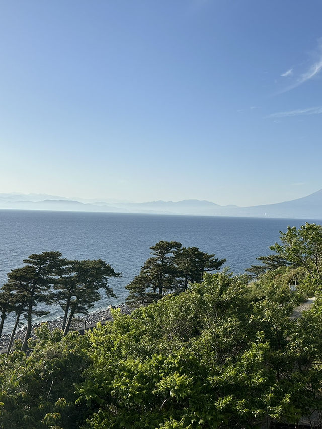 【伊豆】海を一望できる非日常空間の絶景宿✨料理も絶品