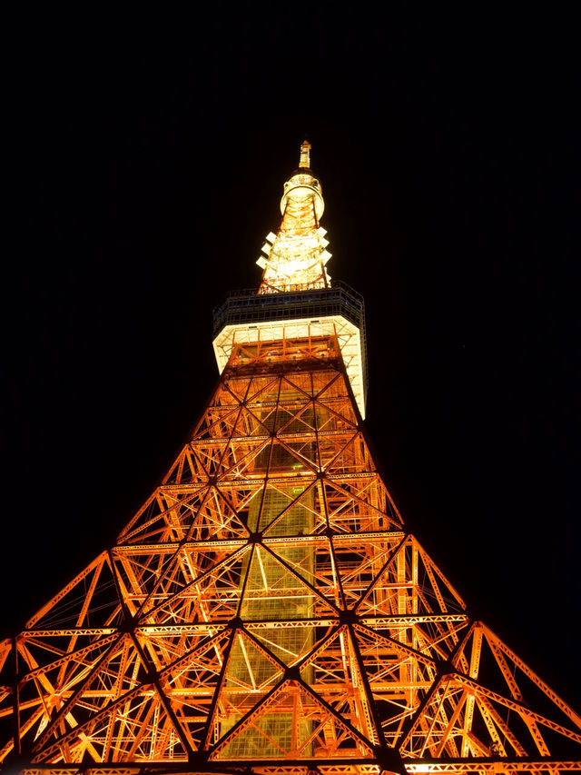 東京タワーの真下！記念日にオススメしたいレストラン🍽 