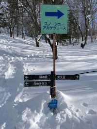 「國營瀧野鈴蘭丘陵公園：冬季雪地樂趣，適合全家」