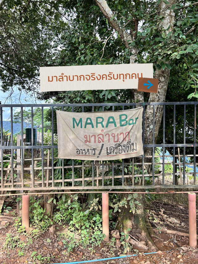 คาเฟ่บนดอยสูง มาลำบากคาเฟ่😅