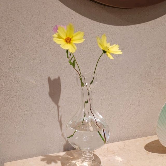 춘천 제이드가든 수목원 기프트샵