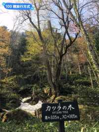 北海道層雲霞-雙龍飛昇的瀑布：流星&銀河瀑布