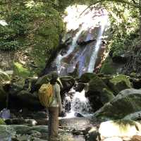 【キナバル国立自然公園/トレッキングの旅】