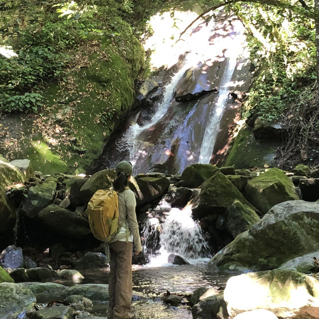 【キナバル国立自然公園/トレッキングの旅】
