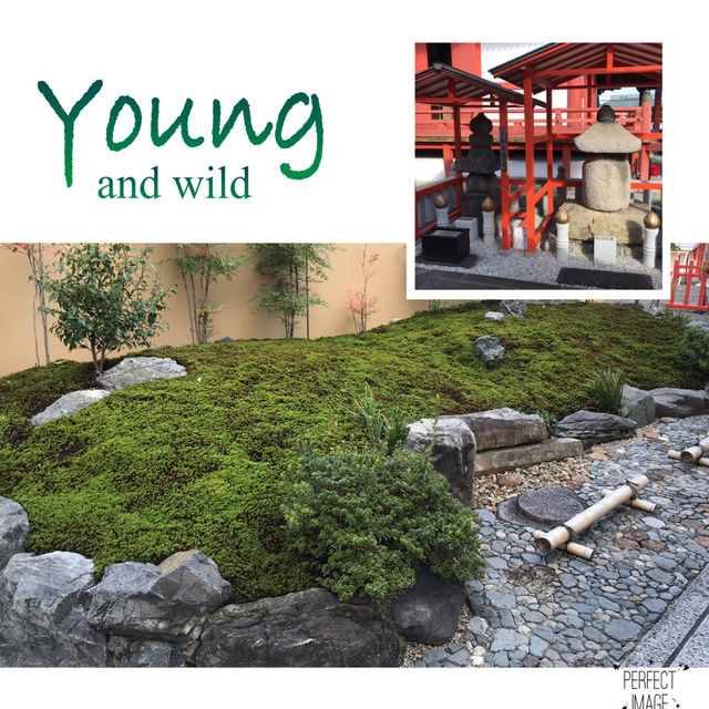 巷仔中的特色寺廟：六波羅蜜寺