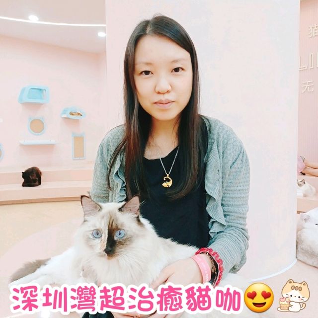 深圳灣超治癒貓Cafe😍