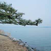🐲希望湖🌳優美大湖🌅🏞️