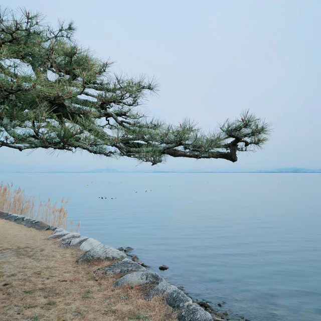 🐲希望湖🌳優美大湖🌅🏞️