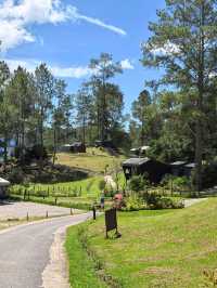 Glamping with Fantastic view of Toba Lake 