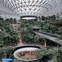 Unforgettable Singapore Adventure!