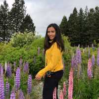 Rotorua – A Journey into Māori Culture and Geothermal Marvels