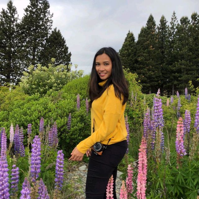 Rotorua – A Journey into Māori Culture and Geothermal Marvels