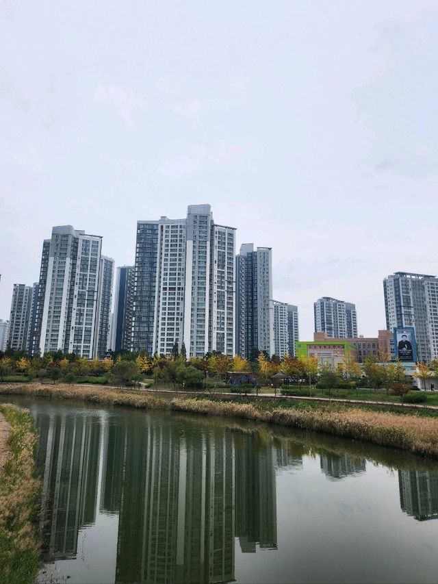 가을 낙엽 떨어지는 소리를 느낄수 있는 청라호수공원😍