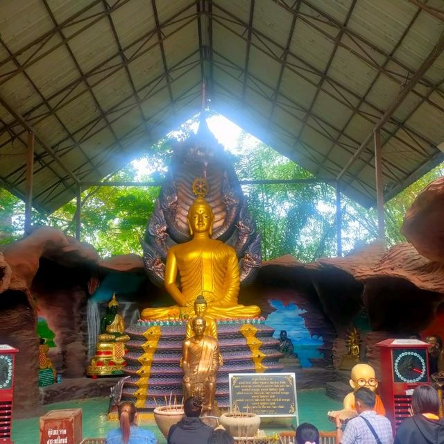 วัดป่าปากโดม 