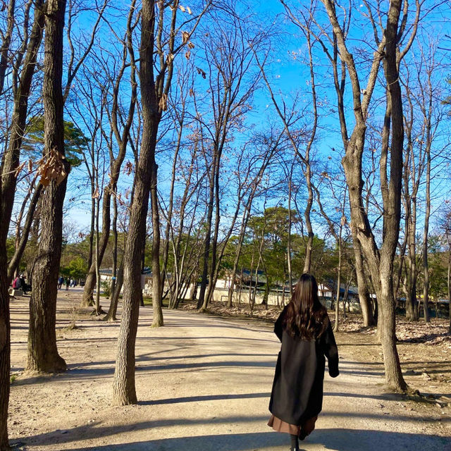 상쾌한 공기를 마시며 우리 역사에 대해 알아볼 수 있는 서오릉 ✨