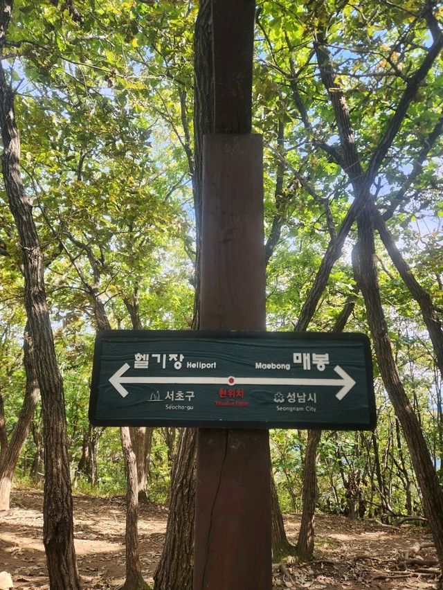 💛가을 수도권 등산여행으로 추천하는, "청계산"💛