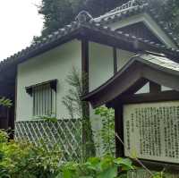 不要錯過大濠公園內的漂亮日式庭園