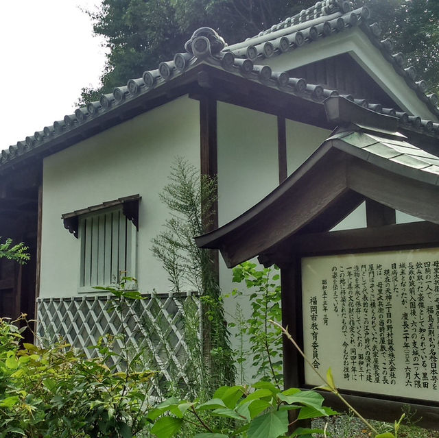 不要錯過大濠公園內的漂亮日式庭園