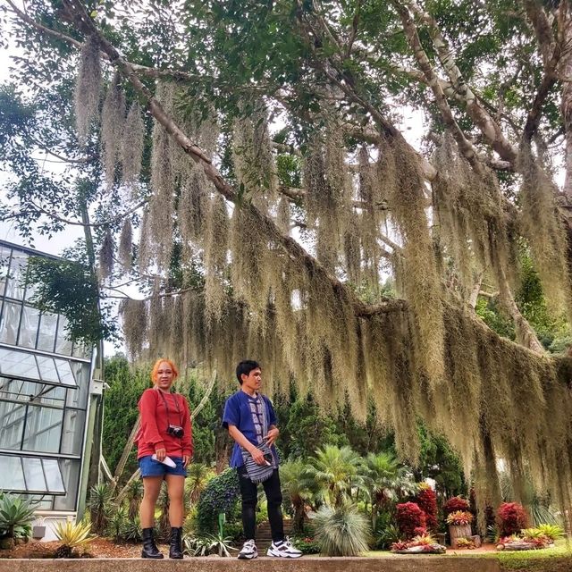 สวนพฤกษศาสตร์สมเด็จพระนางเจ้าสิริกิติ์