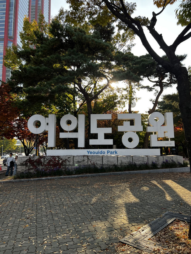 서울 단풍, 은행나무 명소, 산책 코스 ’여의도공원‘ 