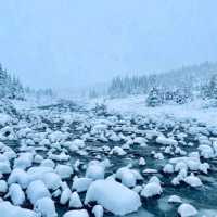 Jasper National Park, Alberta