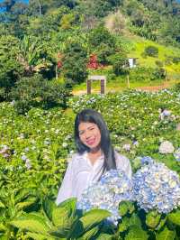 สวนดอกไม้ฤดูหนาว