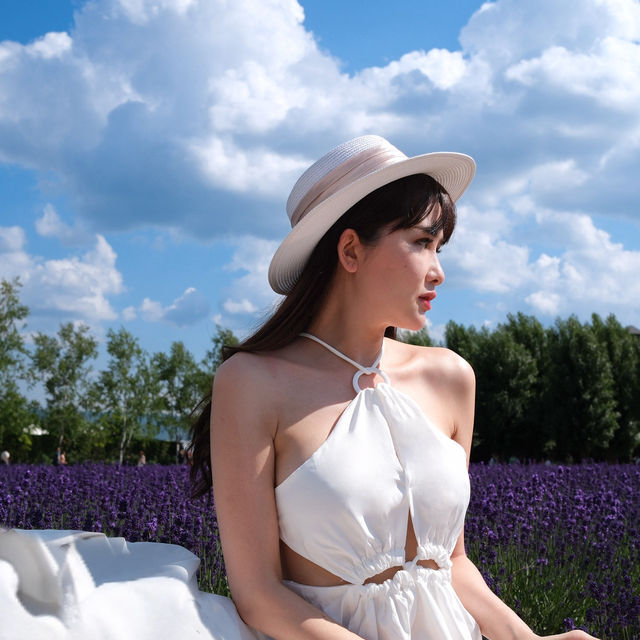 那時7月還沒有盛開的富田農場~~~👭🏻🪻🌹🌻🌸🍦