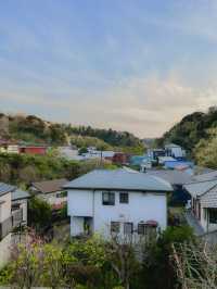 일본 가마쿠라🇯🇵 산책하기 좋은 가마쿠라🩵