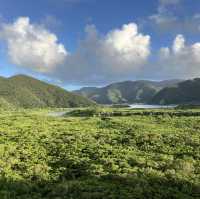 時間を忘れる穏やかな島、奄美大島