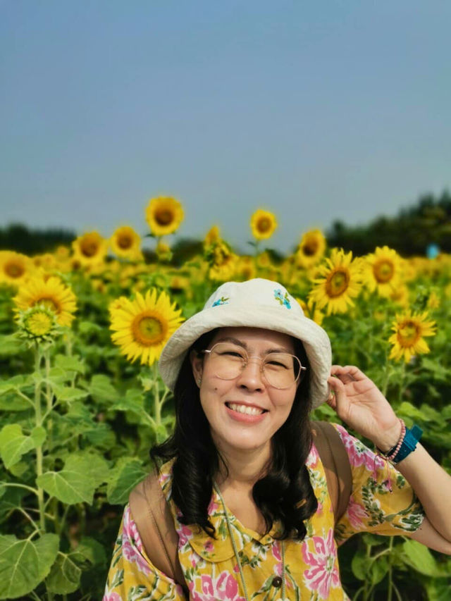 🤩 Baan Rai Nai Rung