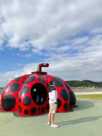 日本景點🇯🇵喜歡藝術的不要錯過這個小島