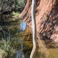 Experience the Majestic Uluṟu-Kata Tjuṯa National Park