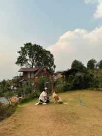 ลานพันดาวแคมป์ปิ้ง | จ.เลย 🏡⛰️🌤️🐶