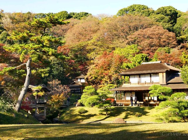【神奈川県】近代の大実業家・原三渓が築いた日本庭園！