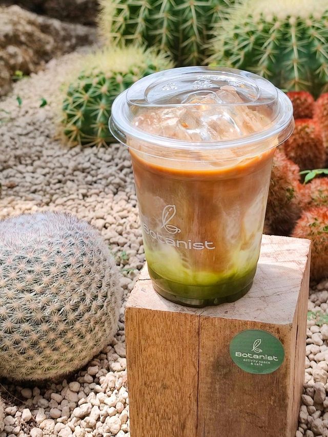 Botanist activity space and more คาเฟ่กระบองเพชร