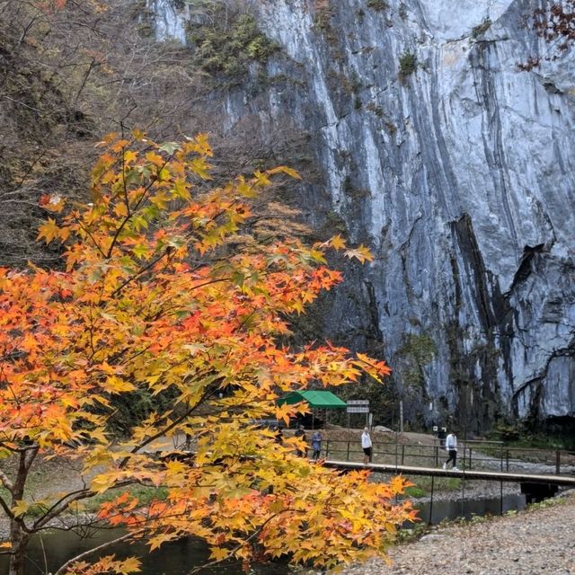 日本百景「猊鼻溪」乘舟遊船，體驗不同的東北風情
