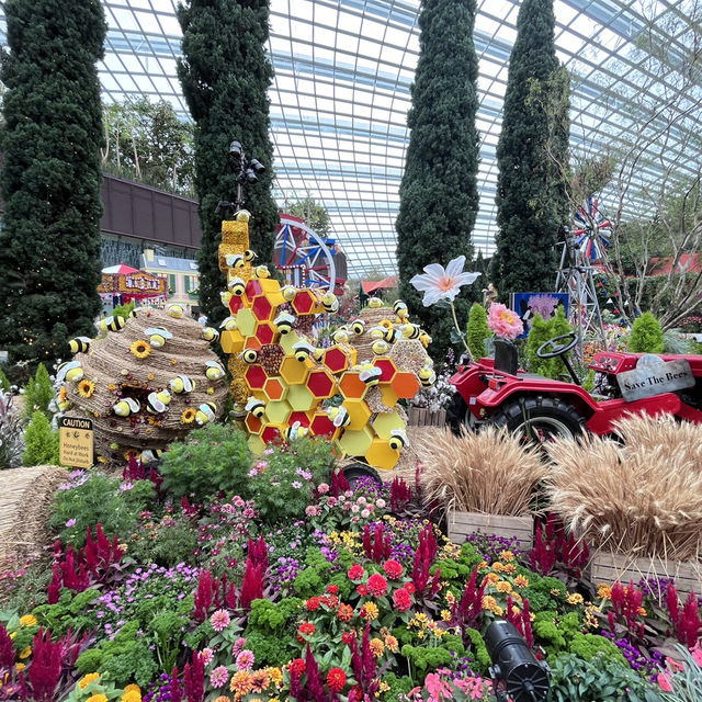 Explore the beauty of Flowers Dome of Singapore Garden by the bay