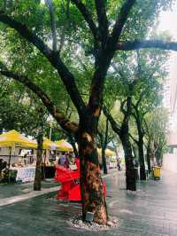 Free things to explore in Shenzhen part II