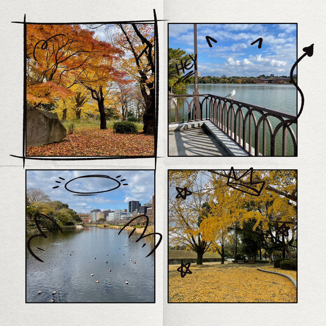 漢江市民公園：秋日奇緣 🍁🌳