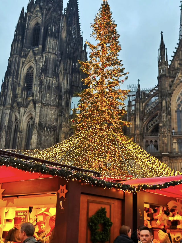 Christmas Cheer by the Rhine: Celebrating in Cologne